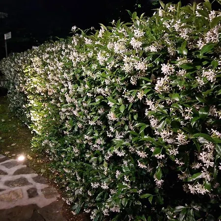 Frühstückspension Casa Tessieri Lucca
