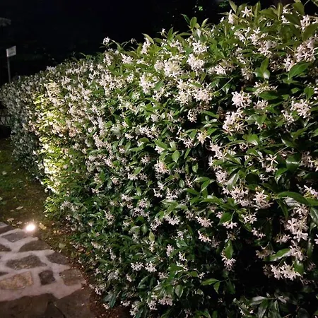 Bed & Breakfast Casa Tessieri Lucca