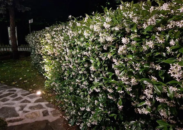 Bed and breakfast Casa Tessieri Lucca