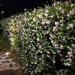 Bed & Breakfast Casa Tessieri Lucca
